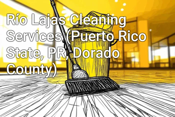 Río Lajas Cleaning Services (Puerto Rico State, PR, Dorado County)