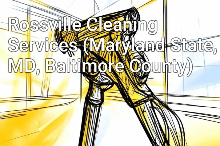 Rossville Cleaning Services (Maryland State, MD, Baltimore County)