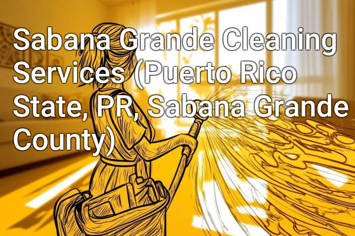 Sabana Grande Cleaning Services (Puerto Rico State, PR, Sabana Grande County)
