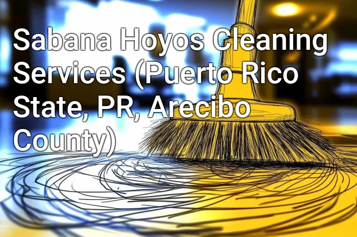 Sabana Hoyos Cleaning Services (Puerto Rico State, PR, Arecibo County)