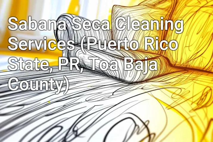 Sabana Seca Cleaning Services (Puerto Rico State, PR, Toa Baja County)