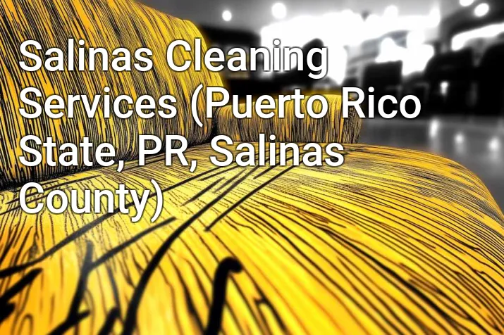 Salinas Cleaning Services (Puerto Rico State, PR, Salinas County)