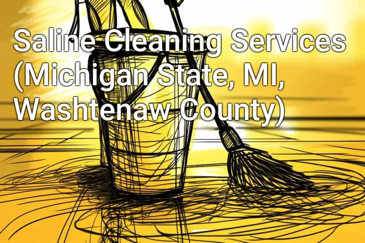 Saline Cleaning Services (Michigan State, MI, Washtenaw County)