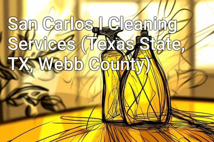 San Carlos I Cleaning Services (Texas State, TX, Webb County)