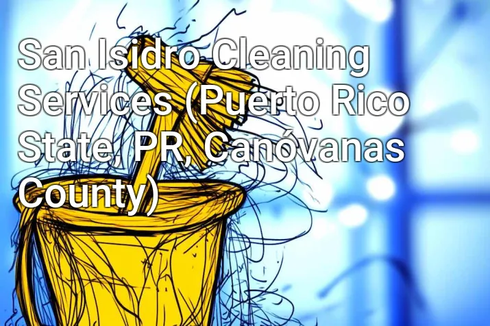 San Isidro Cleaning Services (Puerto Rico State, PR, Canóvanas County)