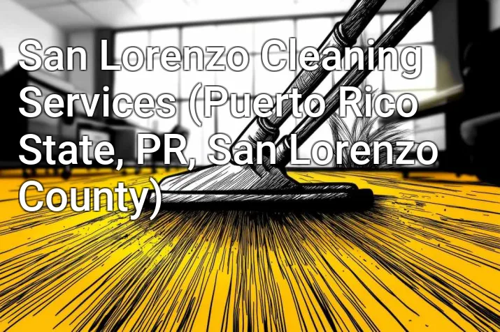 San Lorenzo Cleaning Services (Puerto Rico State, PR, San Lorenzo County)
