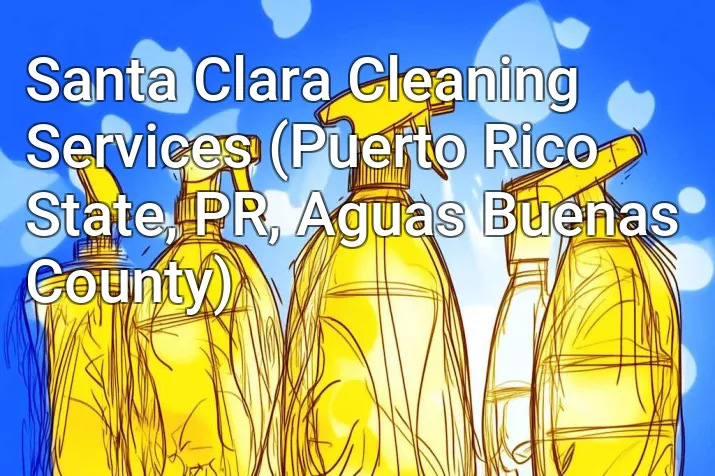 Santa Clara Cleaning Services (Puerto Rico State, PR, Aguas Buenas County)