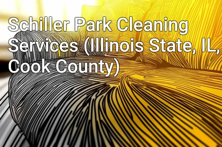 Schiller Park Cleaning Services (Illinois State, IL, Cook County)