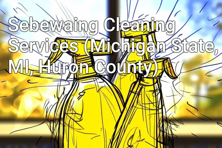 Sebewaing Cleaning Services (Michigan State, MI, Huron County)