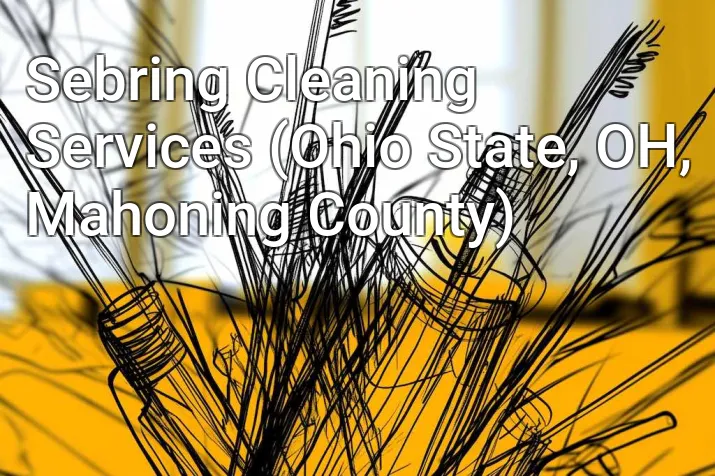 Sebring Cleaning Services (Ohio State, OH, Mahoning County)