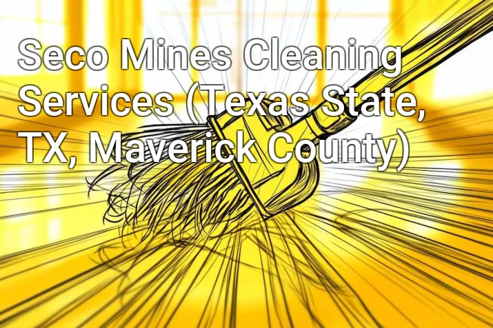 Seco Mines Cleaning Services (Texas State, TX, Maverick County)
