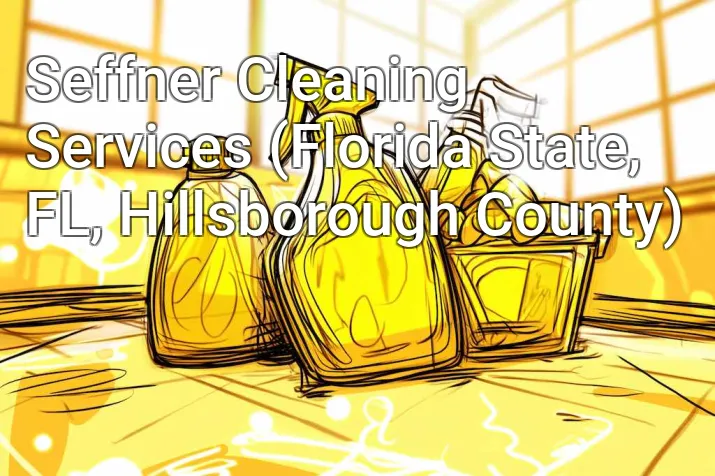 Seffner Cleaning Services (Florida State, FL, Hillsborough County)