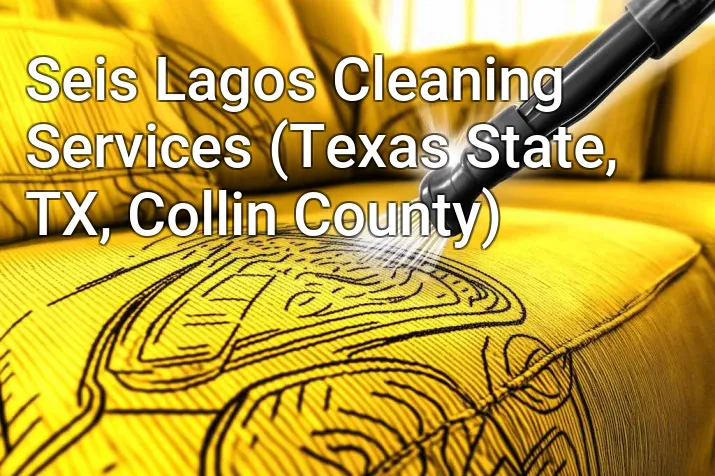 Seis Lagos Cleaning Services (Texas State, TX, Collin County)