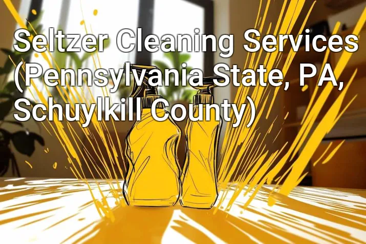 Seltzer Cleaning Services (Pennsylvania State, PA, Schuylkill County)