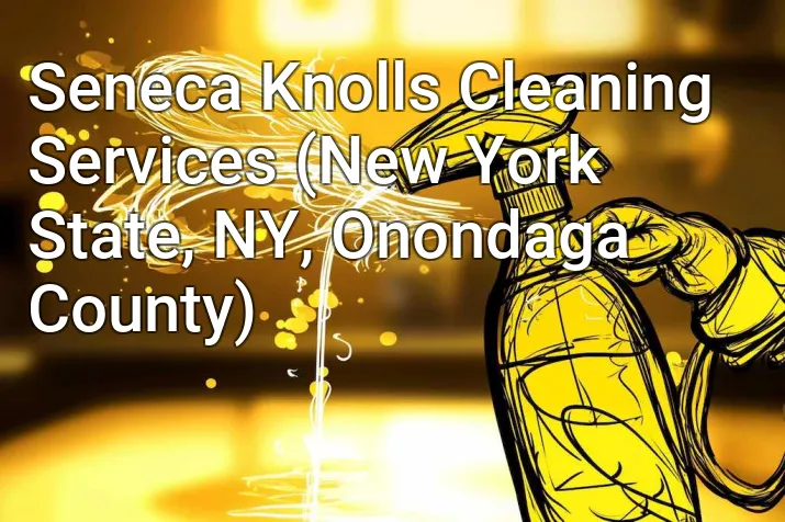 Seneca Knolls Cleaning Services (New York State, NY, Onondaga County)