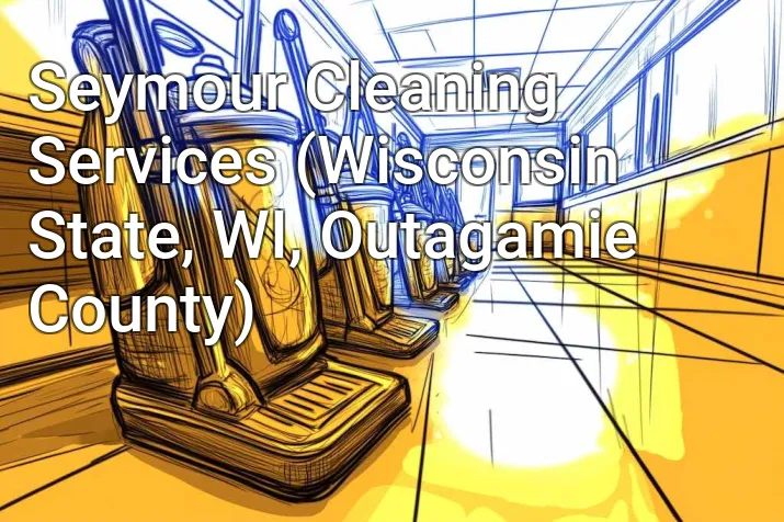 Seymour Cleaning Services (Wisconsin State, WI, Outagamie County)