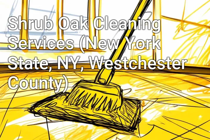 Shrub Oak Cleaning Services (New York State, NY, Westchester County)