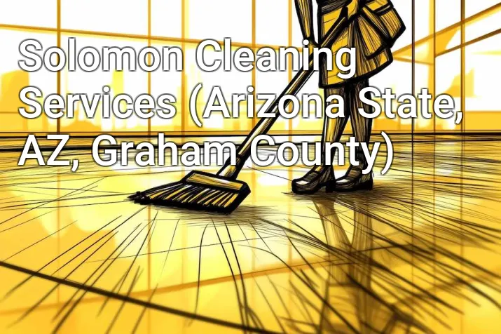 Solomon Cleaning Services (Arizona State, AZ, Graham County)