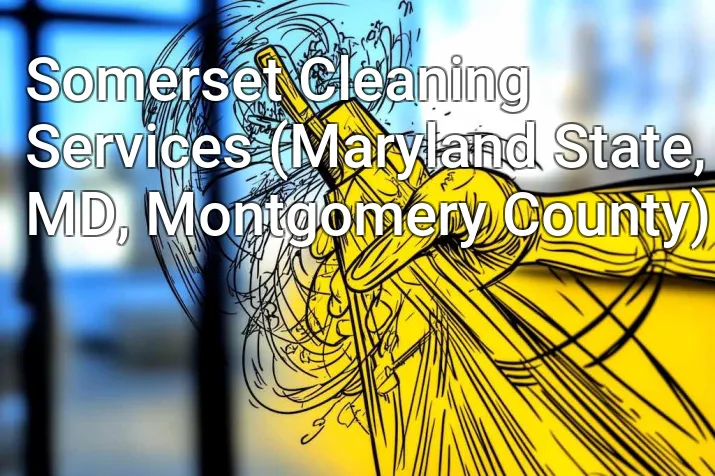 Somerset Cleaning Services (Maryland State, MD, Montgomery County)