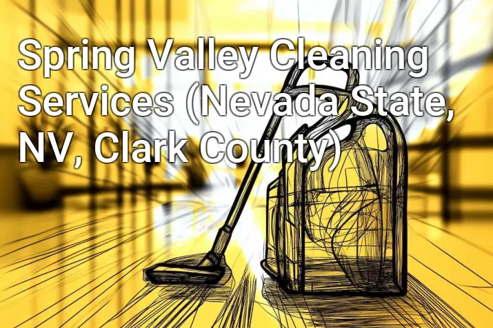 Spring Valley Cleaning Services (Nevada State, NV, Clark County)