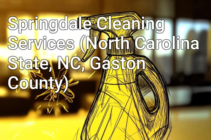 Springdale Cleaning Services (North Carolina State, NC, Gaston County)