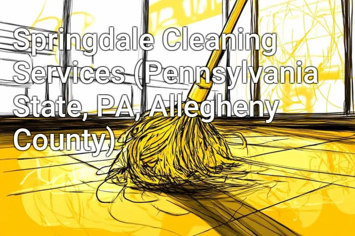 Springdale Cleaning Services (Pennsylvania State, PA, Allegheny County)