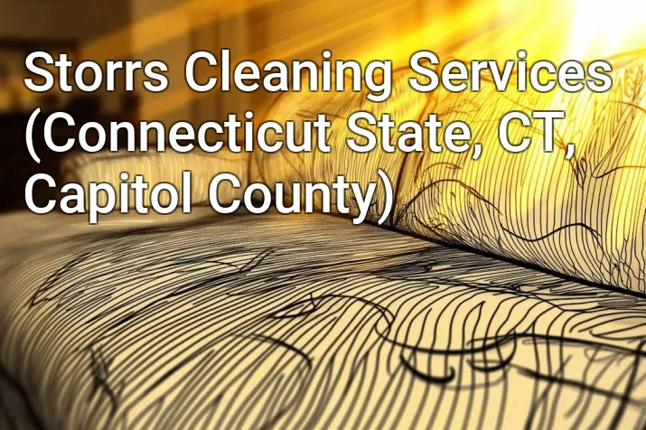 Storrs Cleaning Services (Connecticut State, CT, Capitol County)