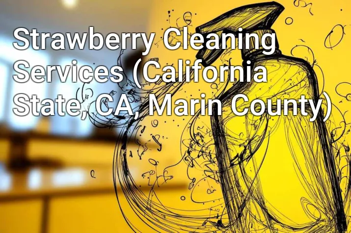 Strawberry Cleaning Services (California State, CA, Marin County)