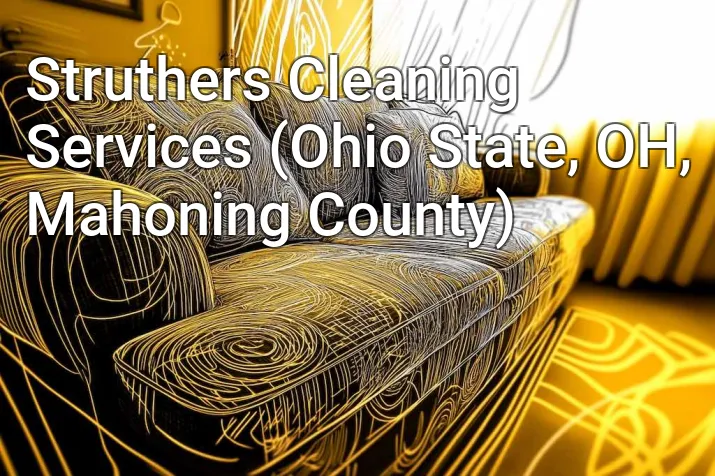 Struthers Cleaning Services (Ohio State, OH, Mahoning County)