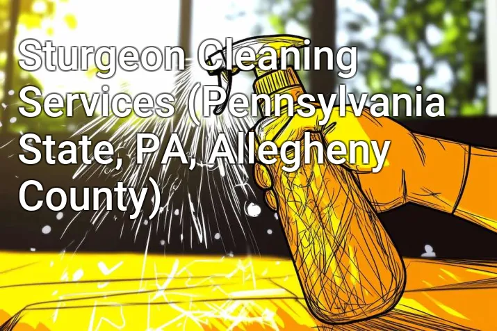 Sturgeon Cleaning Services (Pennsylvania State, PA, Allegheny County)