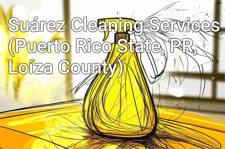 Suárez Cleaning Services (Puerto Rico State, PR, Loíza County)