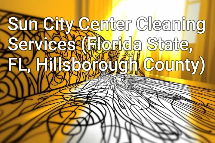 Sun City Center Cleaning Services (Florida State, FL, Hillsborough County)
