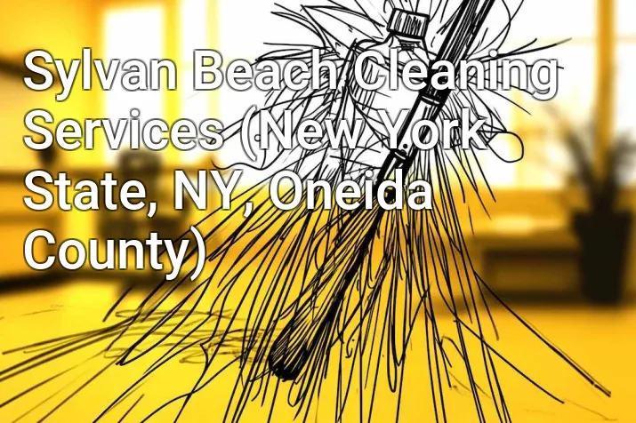 Sylvan Beach Cleaning Services (New York State, NY, Oneida County)