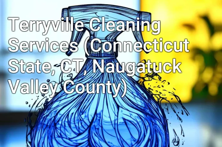 Terryville Cleaning Services (Connecticut State, CT, Naugatuck Valley County)