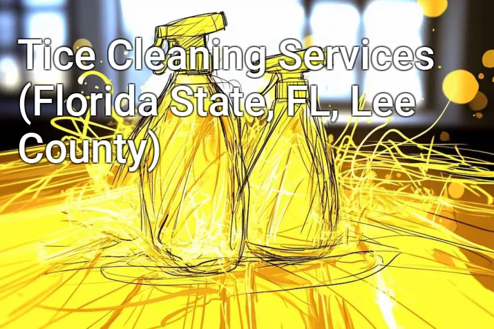 Tice Cleaning Services (Florida State, FL, Lee County)