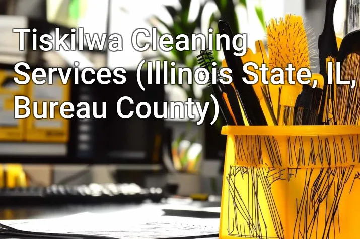 Tiskilwa Cleaning Services (Illinois State, IL, Bureau County)
