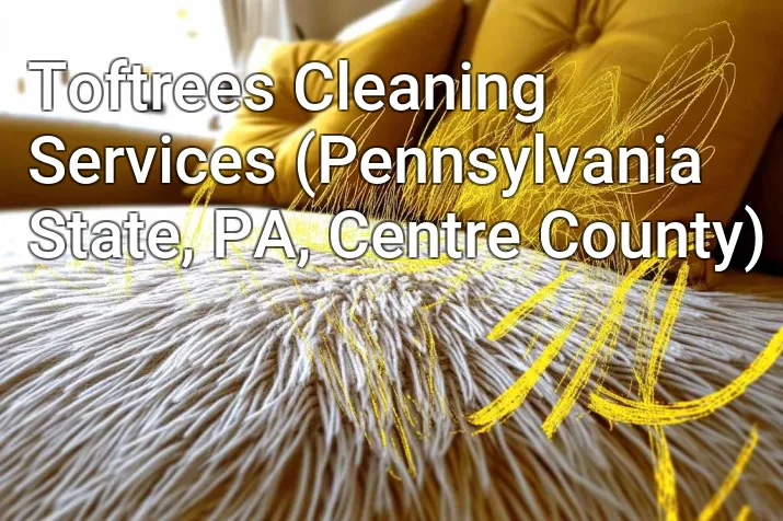 Toftrees Cleaning Services (Pennsylvania State, PA, Centre County)
