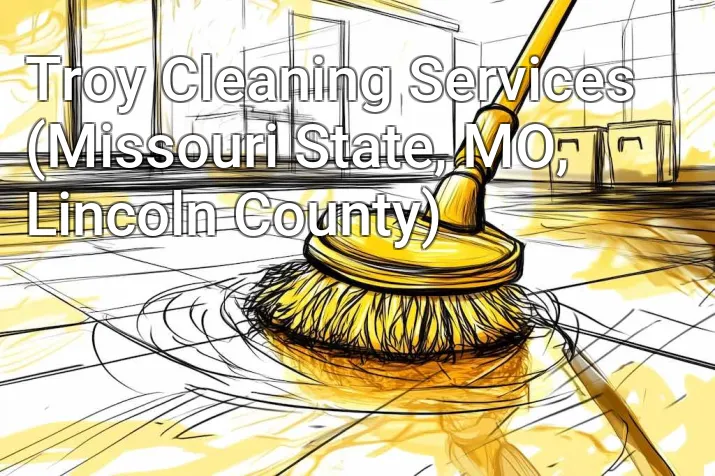 Troy Cleaning Services (Missouri State, MO, Lincoln County)