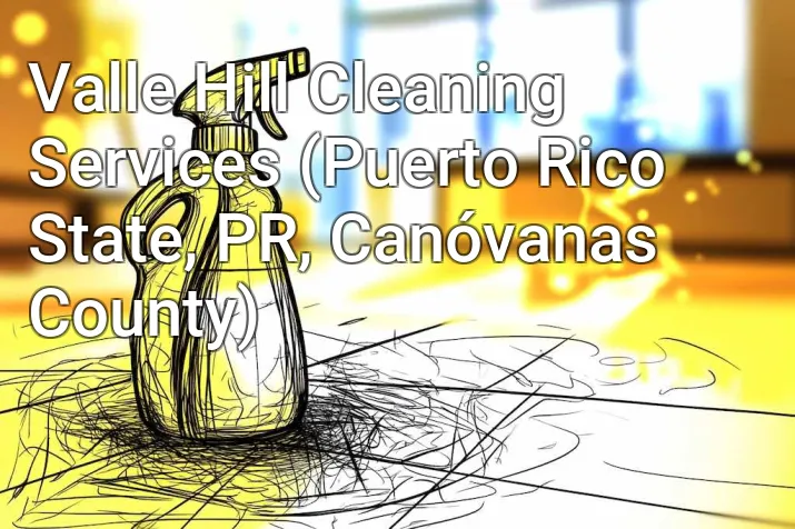 Valle Hill Cleaning Services (Puerto Rico State, PR, Canóvanas County)