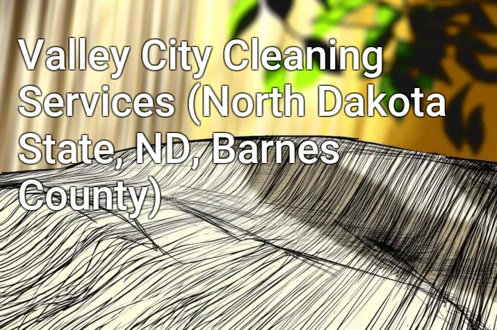 Valley City Cleaning Services (North Dakota State, ND, Barnes County)