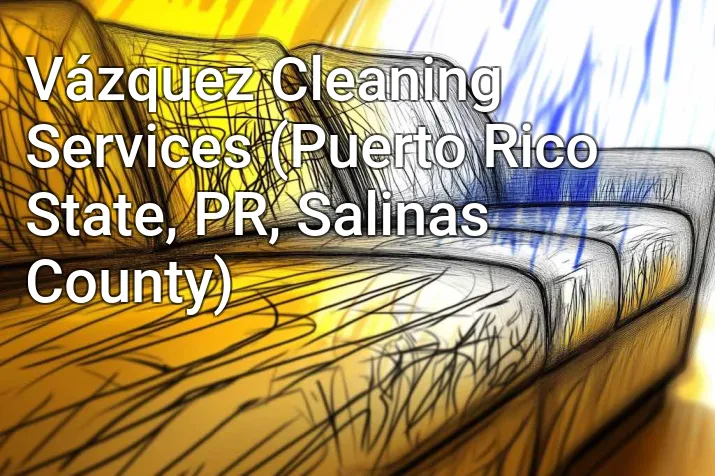 Vázquez Cleaning Services (Puerto Rico State, PR, Salinas County)