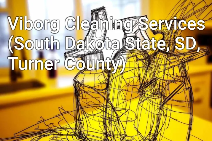 Viborg Cleaning Services (South Dakota State, SD, Turner County)