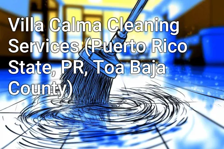 Villa Calma Cleaning Services (Puerto Rico State, PR, Toa Baja County)