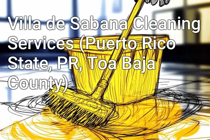 Villa de Sabana Cleaning Services (Puerto Rico State, PR, Toa Baja County)