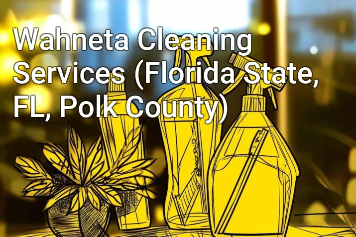 Wahneta Cleaning Services (Florida State, FL, Polk County)