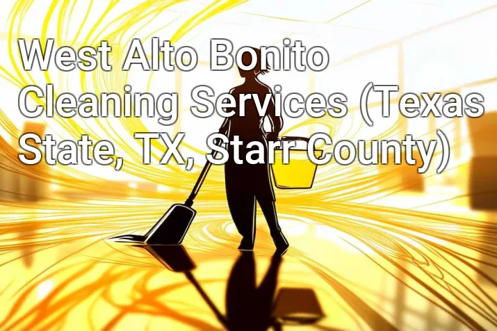 West Alto Bonito Cleaning Services (Texas State, TX, Starr County)