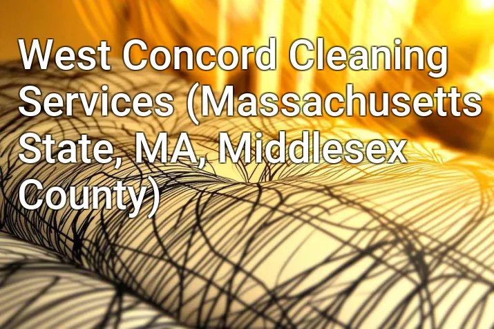 West Concord Cleaning Services (Massachusetts State, MA, Middlesex County)