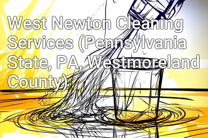 West Newton Cleaning Services (Pennsylvania State, PA, Westmoreland County)