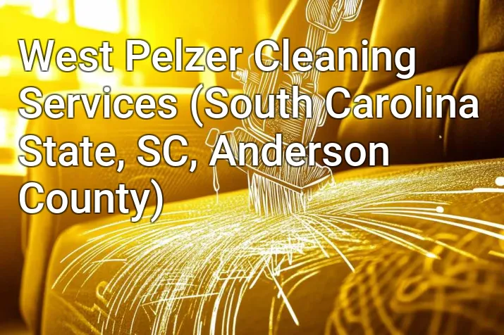 West Pelzer Cleaning Services (South Carolina State, SC, Anderson County)