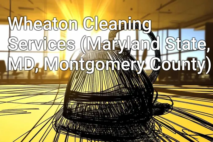 Wheaton Cleaning Services (Maryland State, MD, Montgomery County)